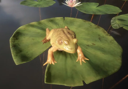 Frog on lilly pad